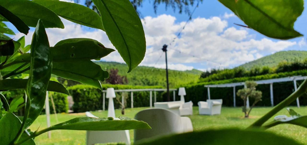 Sotto Il Cielo Hotel Pignola Eksteriør billede